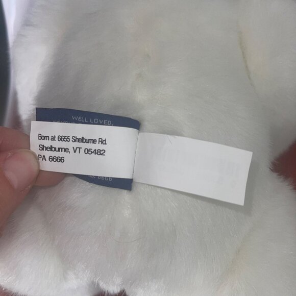 Vermont Teddy Bear Company Plush 16  Jointed Bear White Bow - Picture 8 of 15